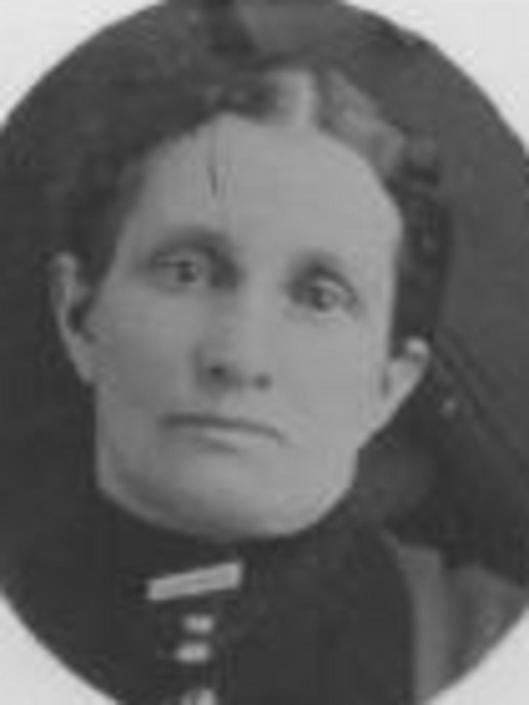 Mary Ann Birch (1850 - 1919) Profile